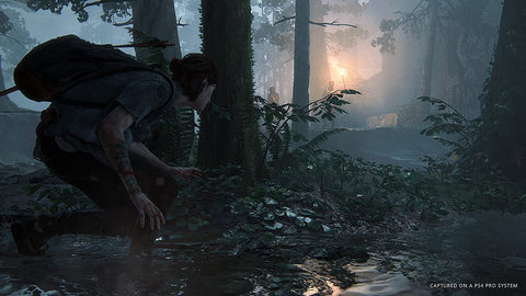 The last of us Parte 2