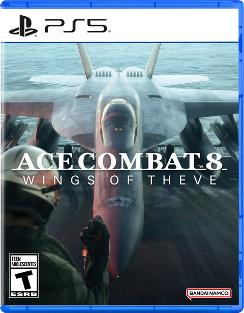 Ace Combat 8: Wings of Theve