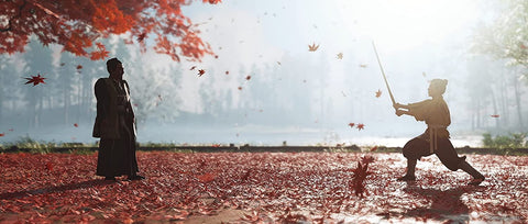 Ghost of Tsushima - Director's Cut