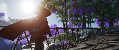 Ghost of Tsushima - Director's Cut