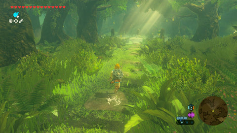 The Legend of Zelda Breath of the Wild Nintendo Switch 2 Edition