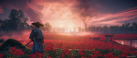 Ghost of Tsushima - Director's Cut